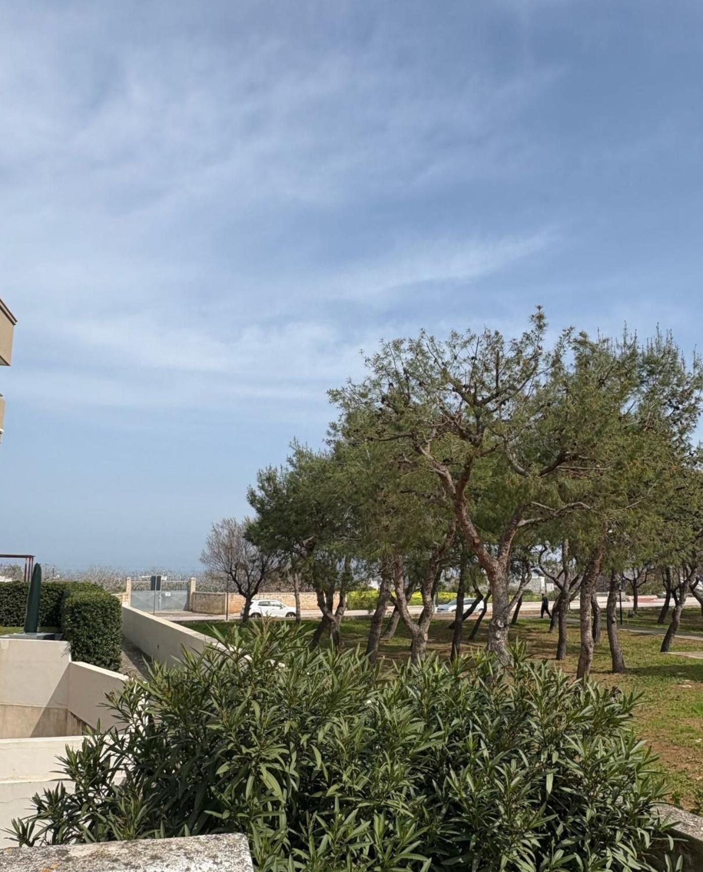 Venti Di Mare Ξενοδοχείο Monopoli Εξωτερικό φωτογραφία